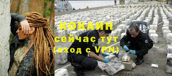 сатива Магас
